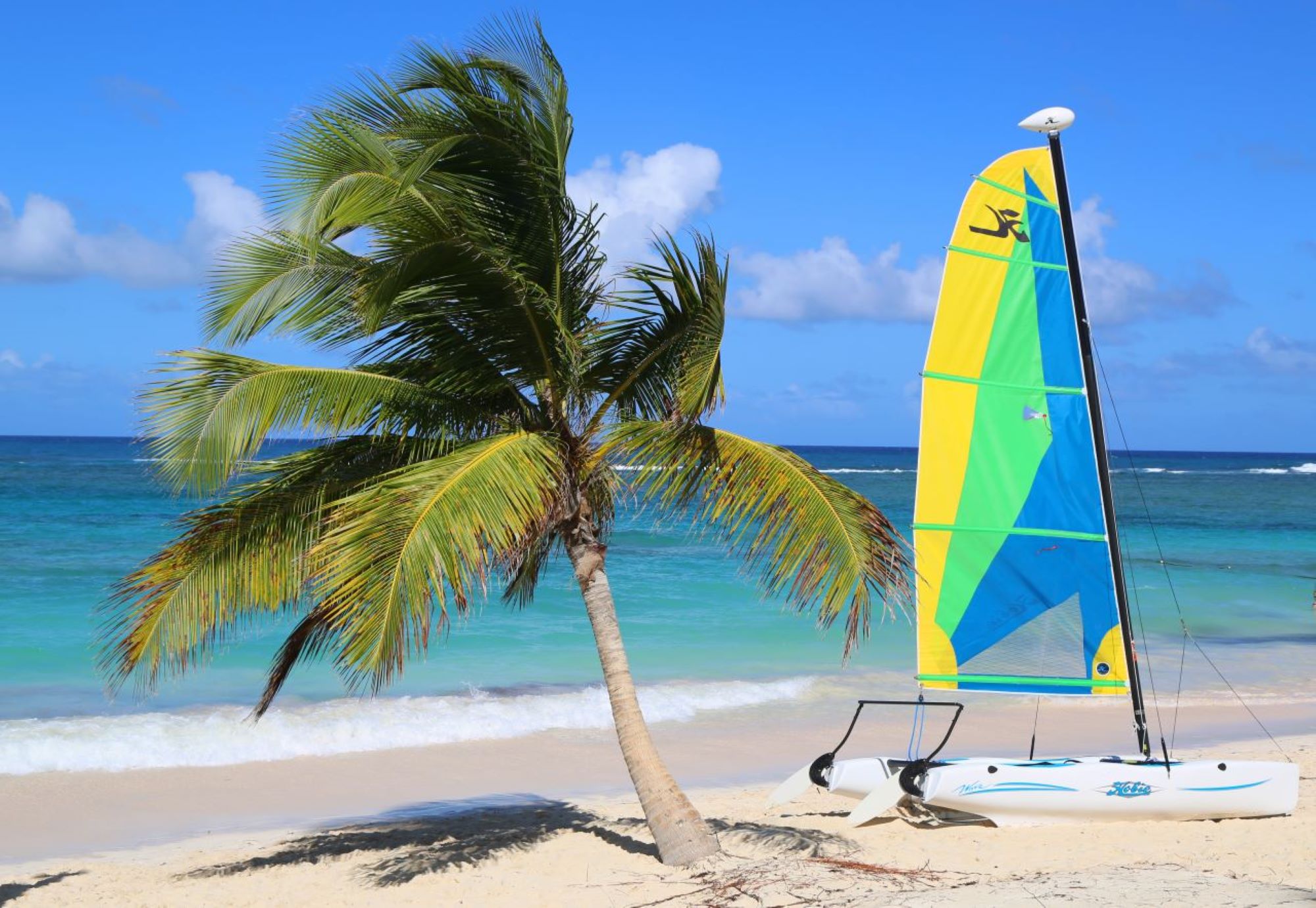 SS Hobie